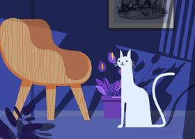 创意客厅里的白色猫咪