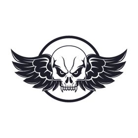 翅膀logo