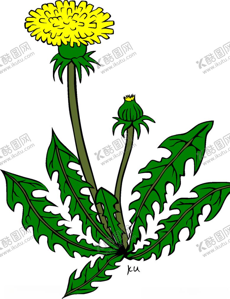 编号：58203104171006279994【酷图网】源文件下载-蒲公英