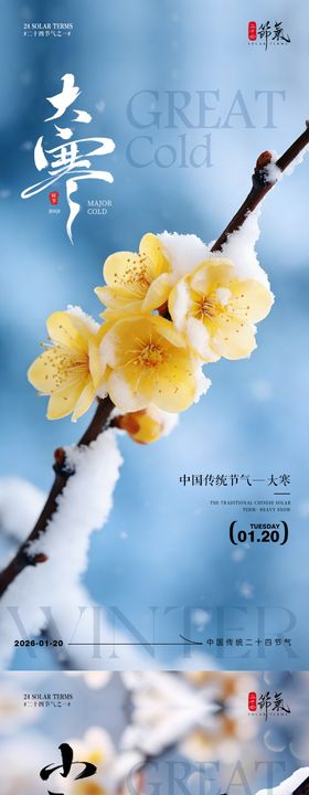 大寒节气风景海报