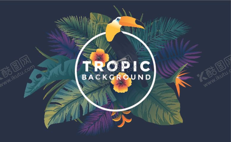 编号：75193110061831556109【酷图网】源文件下载-热带夏季背景广告