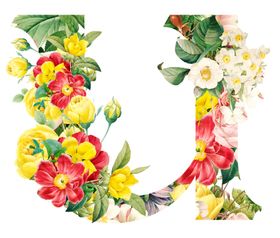 u字母logo