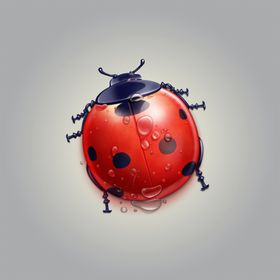 瓢虫
