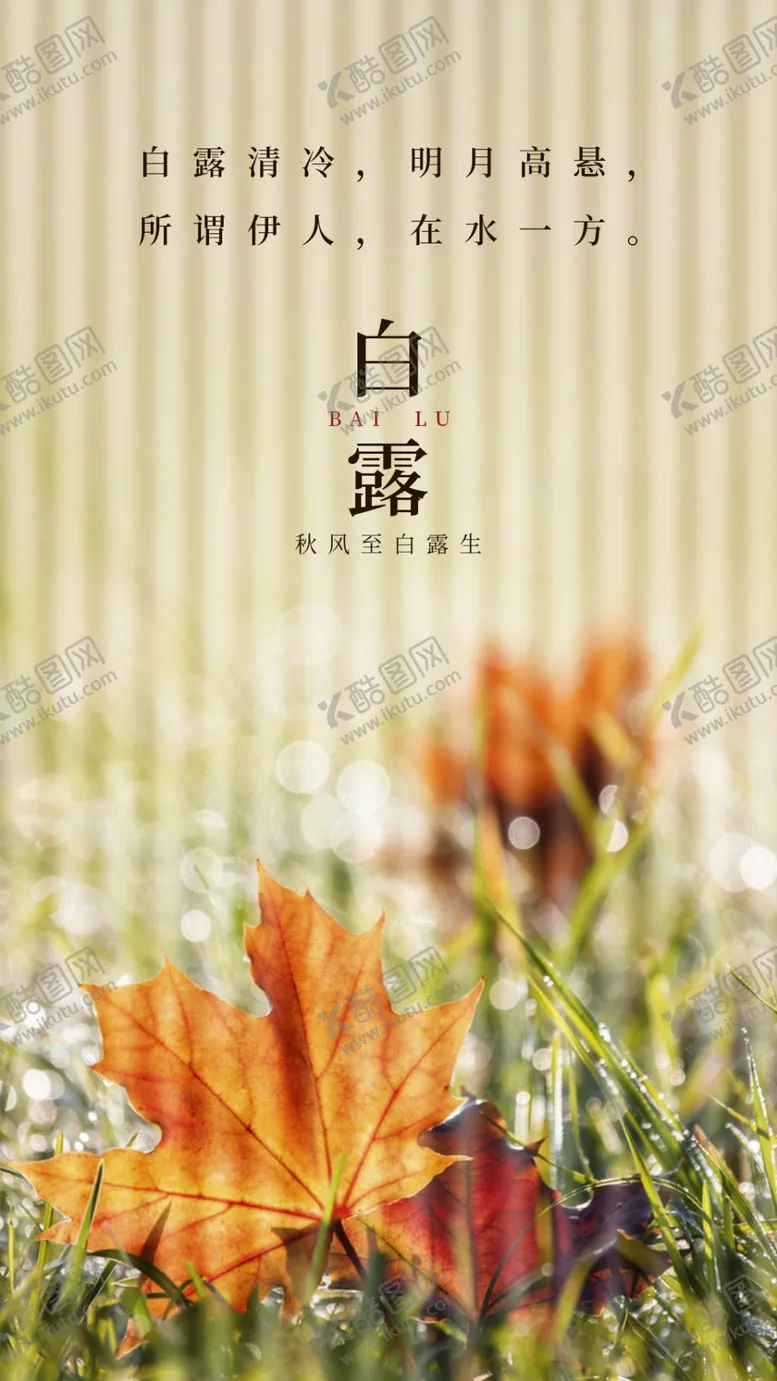 编号：41657009241112570962【酷图网】源文件下载-白露