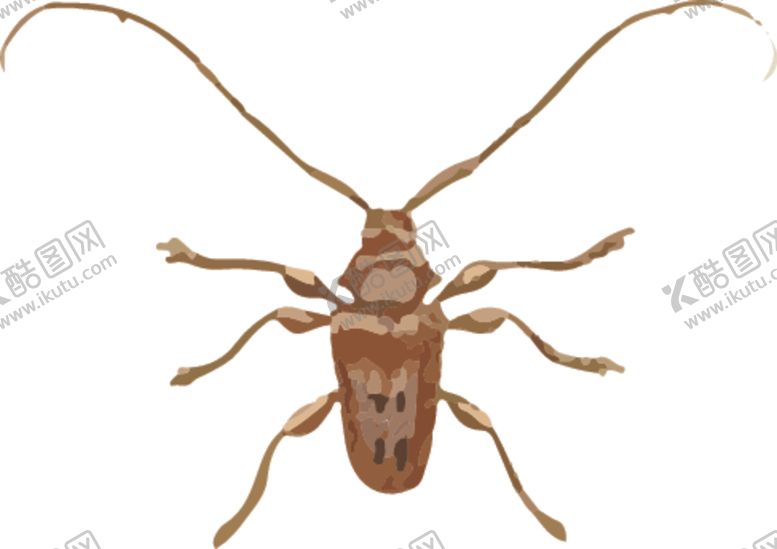 编号：37959610081241038640【酷图网】源文件下载-长须甲虫昆虫插画