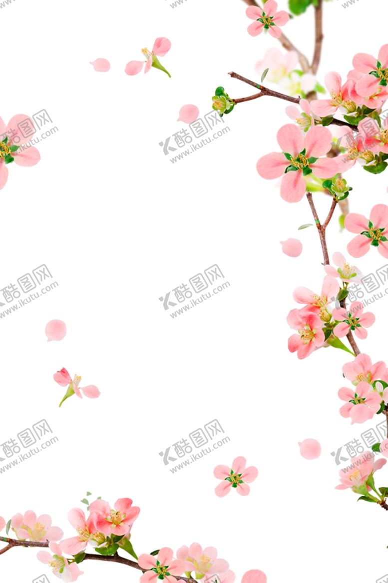 编号：83146105091048496066【酷图网】源文件下载-鲜花边框