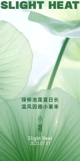 小暑荷塘游鱼节气海报