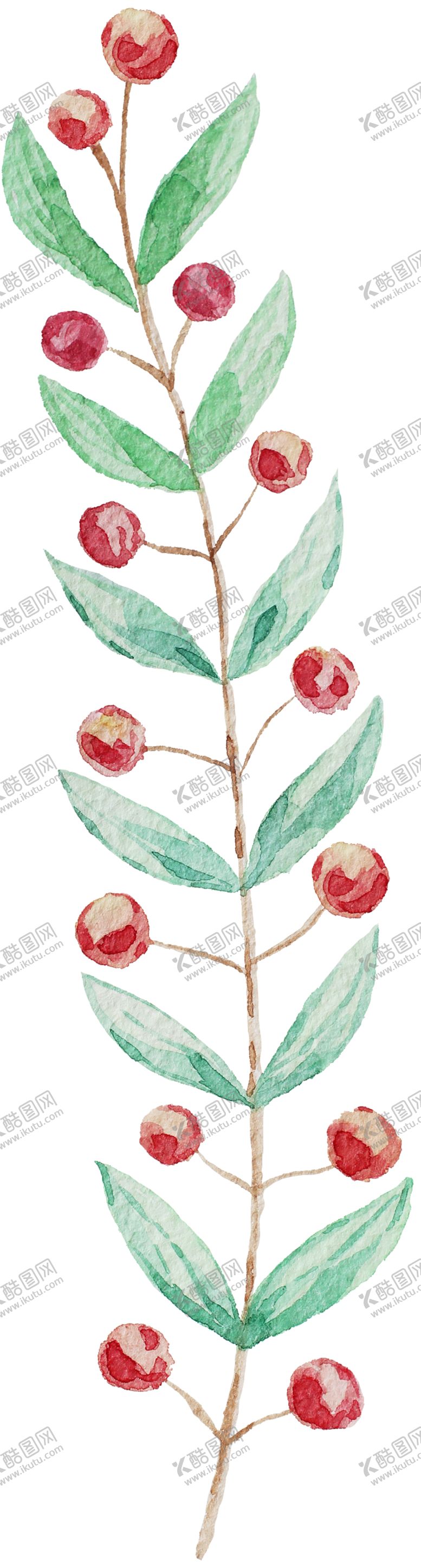 编号：70328906282359467422【酷图网】源文件下载-手绘植物