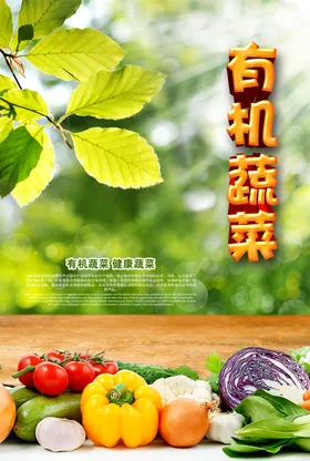新鲜有机健康蔬菜海报模版