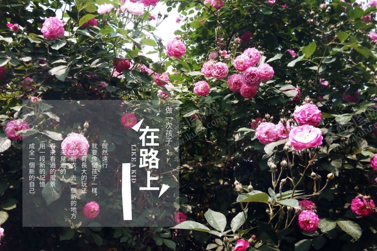 编号：13443910102109017210【酷图网】源文件下载-婚纱背景