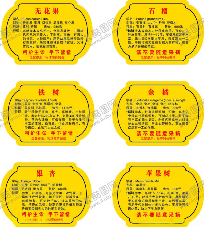 编号：69916001310138222977【酷图网】源文件下载-树木介绍标牌