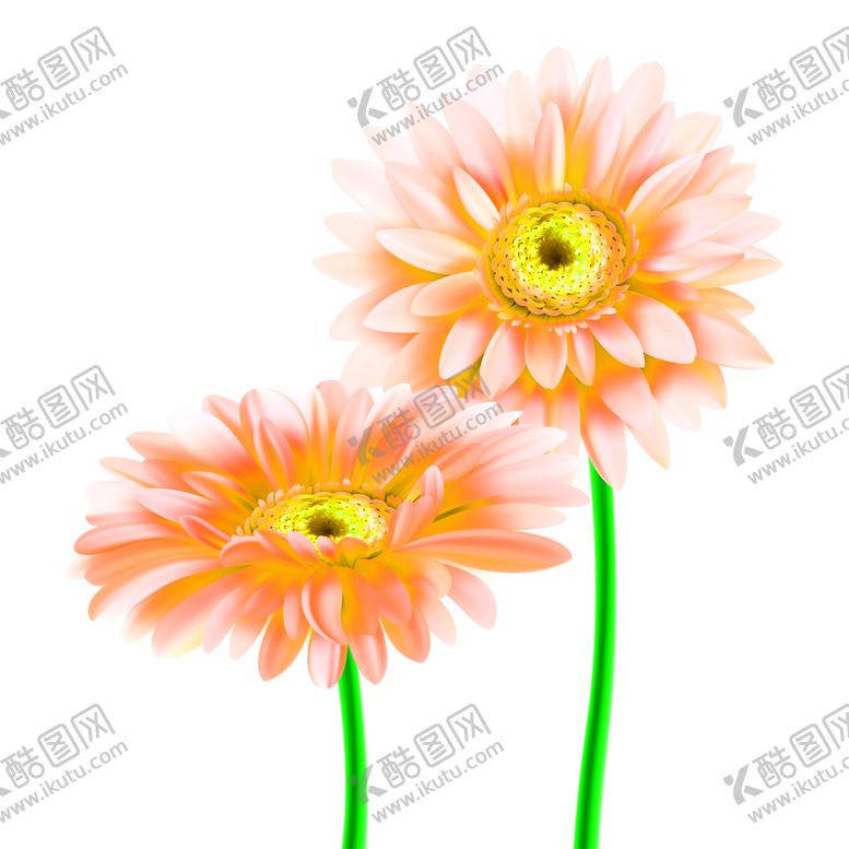 编号：34320410090817563512【酷图网】源文件下载-花素材