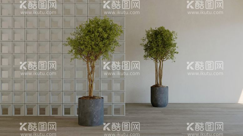 编号：73229711031150477165【酷图网】源文件下载-盆栽植物模型