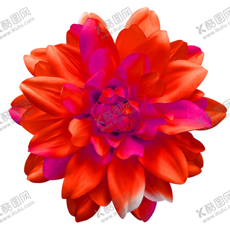 编号：46263510211902483131【酷图网】源文件下载-鲜花素材