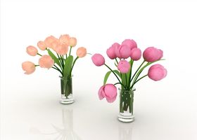 紫郁金香花卉绿植盆栽