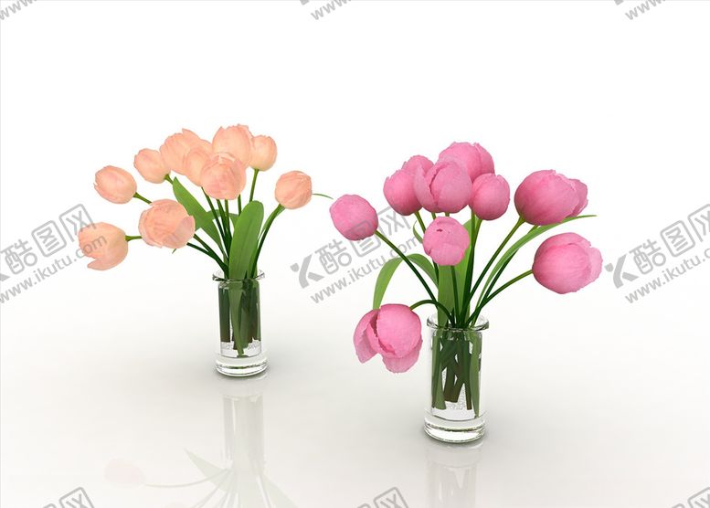 编号：12036604171213272164【酷图网】源文件下载-紫郁金香花卉绿植盆栽