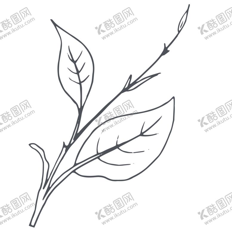 编号：97979006281237587628【酷图网】源文件下载-手绘植物