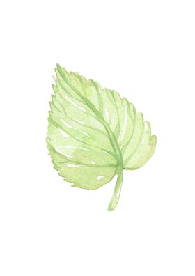 水墨蔷薇植物树叶小清新树叶