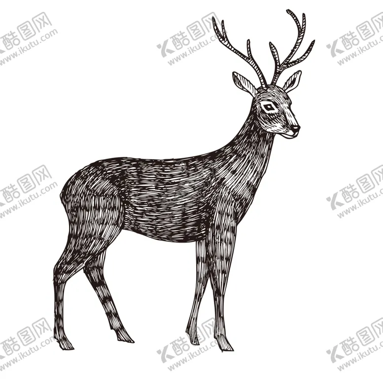 编号：69771603311739597447【酷图网】源文件下载-手绘动物