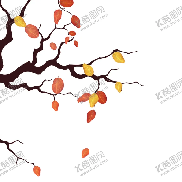 编号：96348904151655228708【酷图网】源文件下载-树叶装饰元素