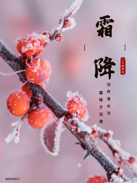 霜降节气问候广告地产海报宣传海报