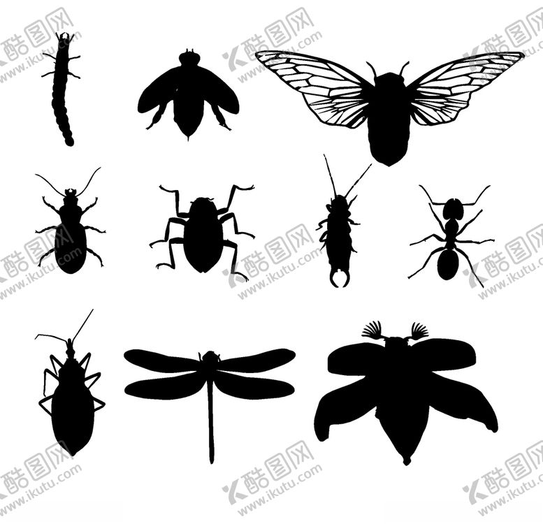 编号：69652709201005533918【酷图网】源文件下载-昆虫剪影