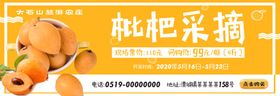 枇杷采摘