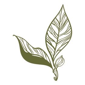 清新绿植