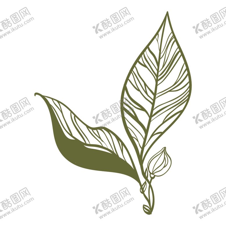 编号：62083509170952567339【酷图网】源文件下载-清新绿植
