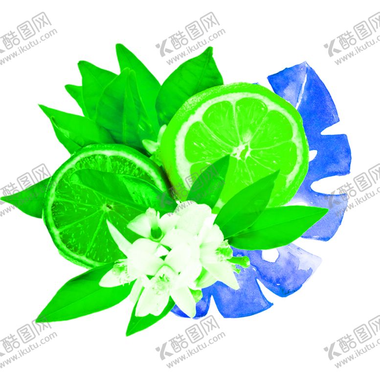 编号：37649206270059402337【酷图网】源文件下载-花素材