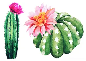 植物