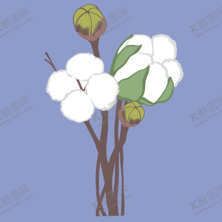 编号：46563005082359123876【酷图网】源文件下载-棉花插画