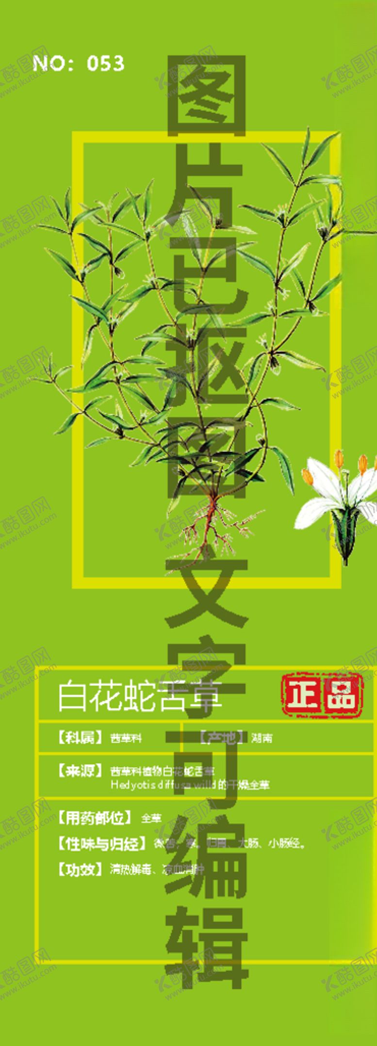 编号：47270503290134527683【酷图网】源文件下载-白花蛇舌草