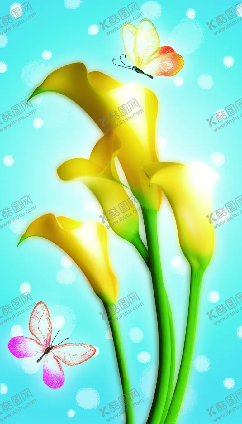 编号：35219106270601267793【酷图网】源文件下载-水仙花蝴蝶