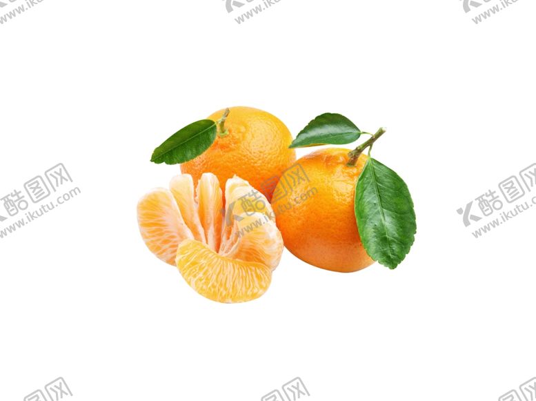 编号：51745609281709301083【酷图网】源文件下载-柑橘