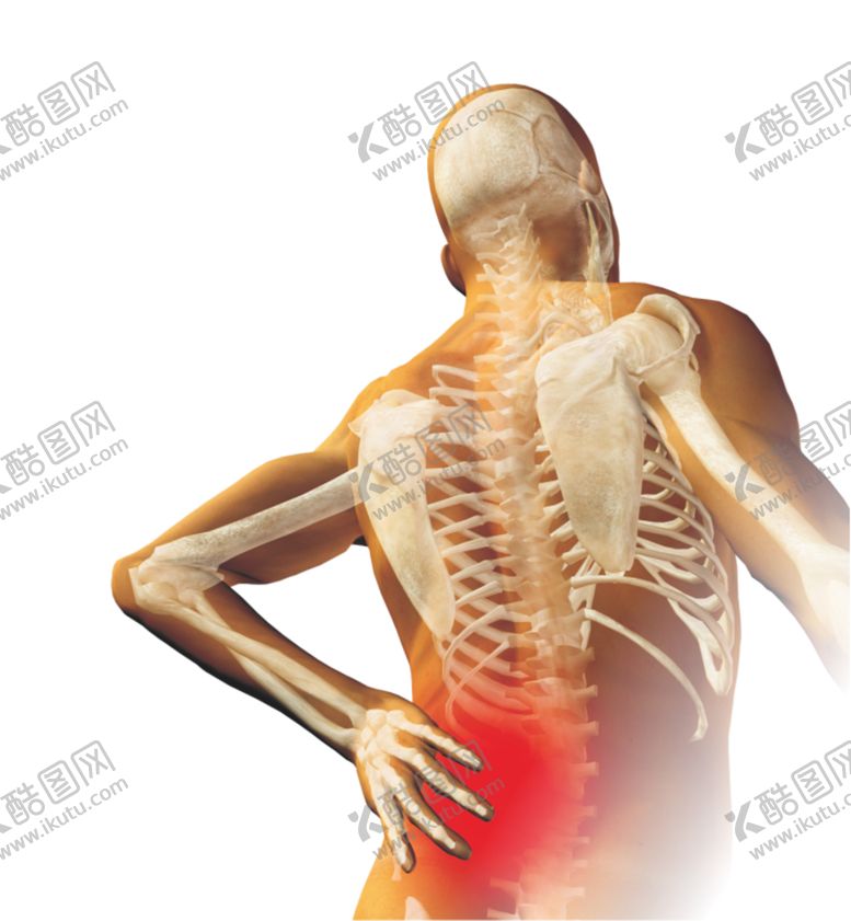 编号：97263706181923412563【酷图网】源文件下载-腰椎痛透明图