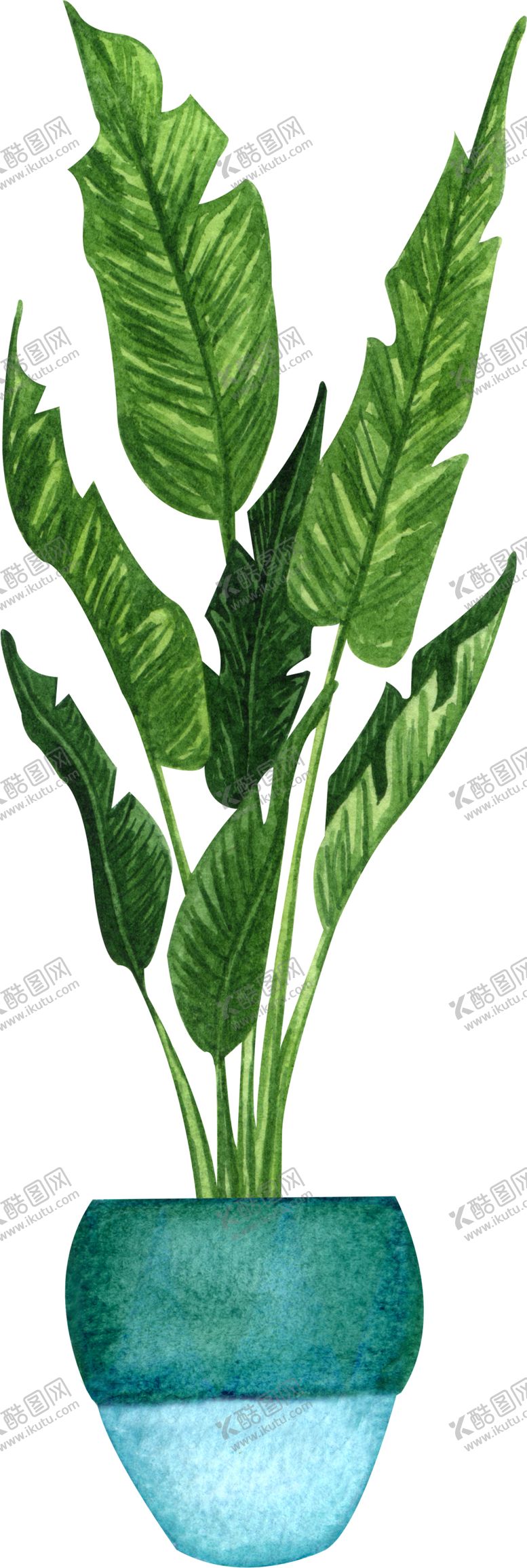 编号：99956206271742103956【酷图网】源文件下载-热带绿植水彩插画