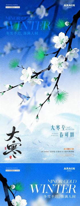 地产小寒大寒中式花卉质感海报