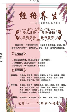 经络养生画