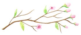 彩绘枝叶