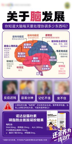 脑营养品功效宣传海报