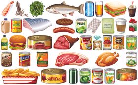 一套白色背景的食物