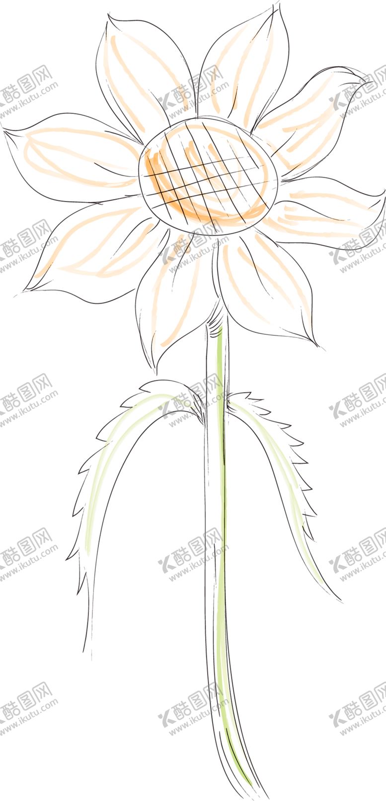 编号：69390209241911262876【酷图网】源文件下载-鲜花装饰