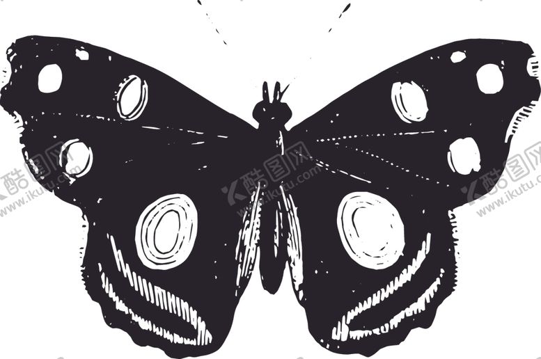 编号：30499310041032059468【酷图网】源文件下载-自然昆虫蝴蝶标本插画