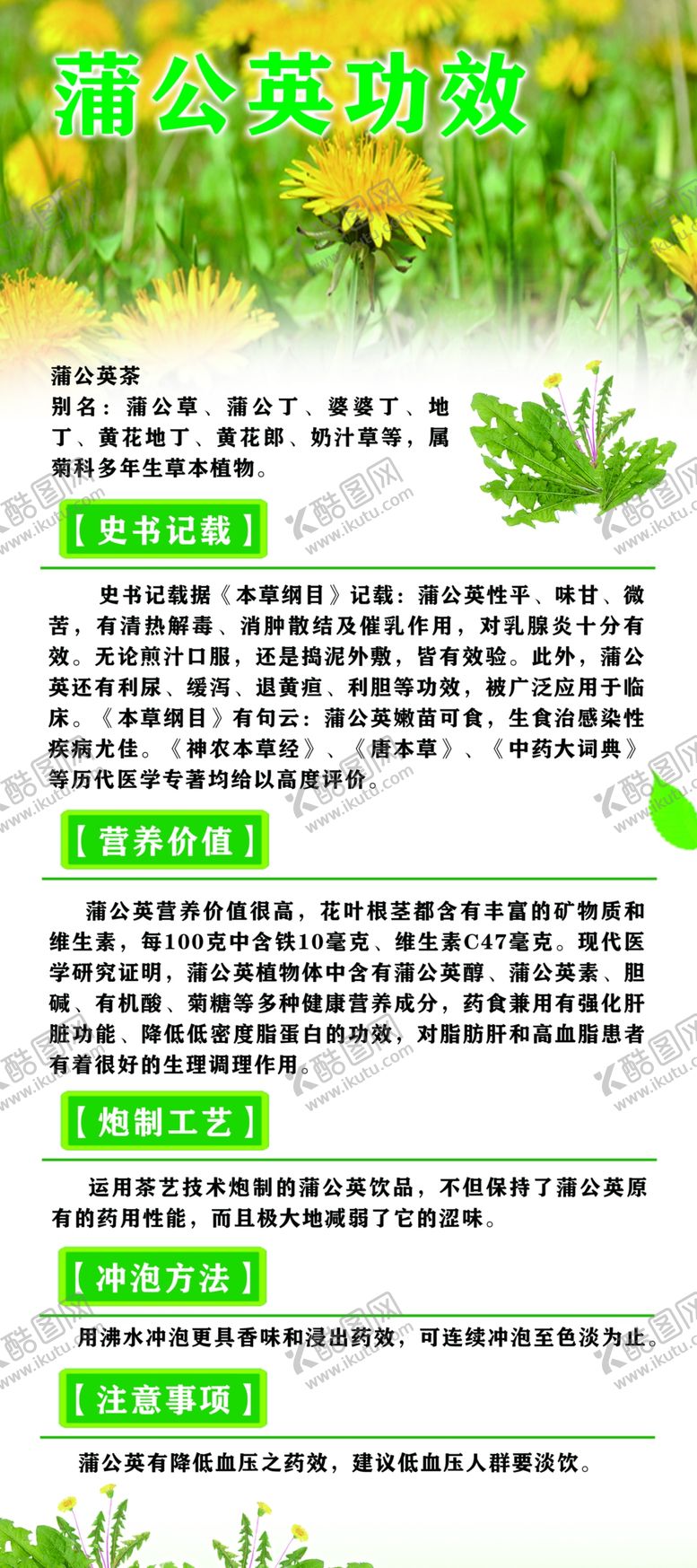 编号：42141310211527477683【酷图网】源文件下载-蒲公英展架