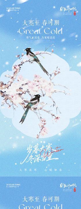 大寒节气梅花插画海报
