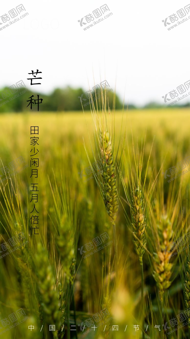 编号：90917005011733078831【酷图网】源文件下载-芒种