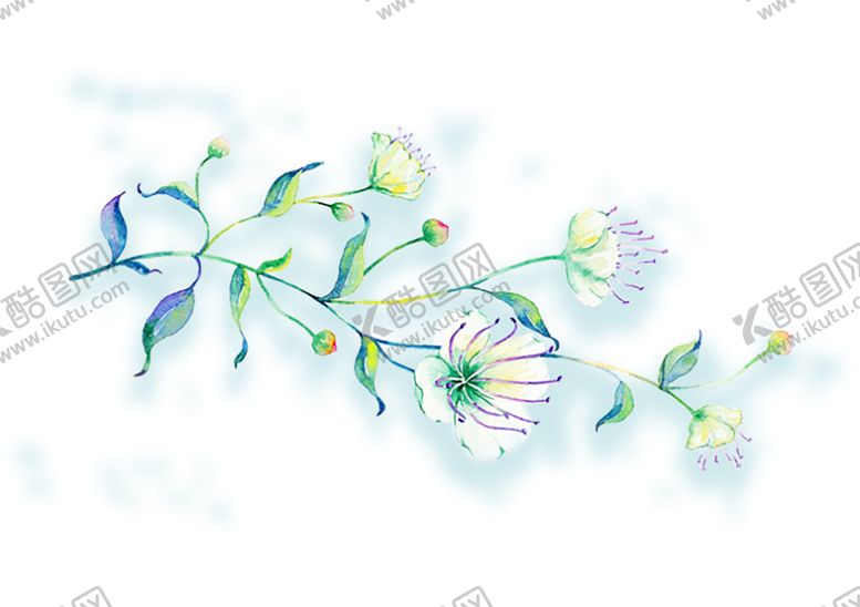 编号：47503511010853409725【酷图网】源文件下载-绿色相框