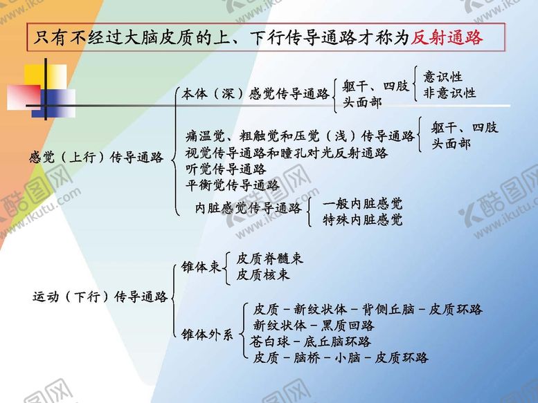 编号：96066601201539086626【酷图网】源文件下载-神经系统 
