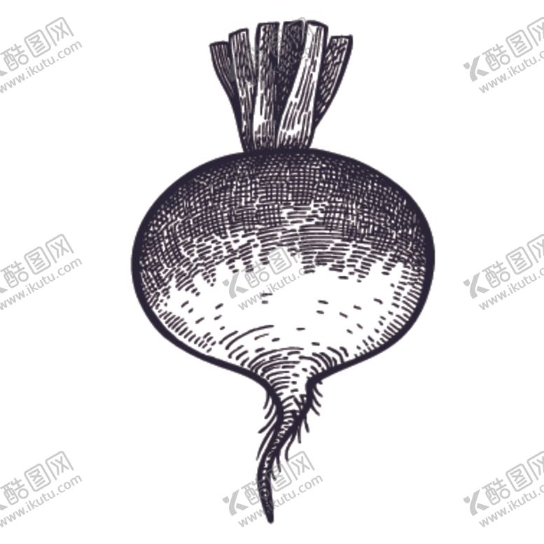 编号：61089609251646585537【酷图网】源文件下载-餐饮食物插画元素